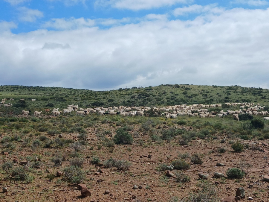 0 Bedroom Property for Sale in Richmond Rural Northern Cape